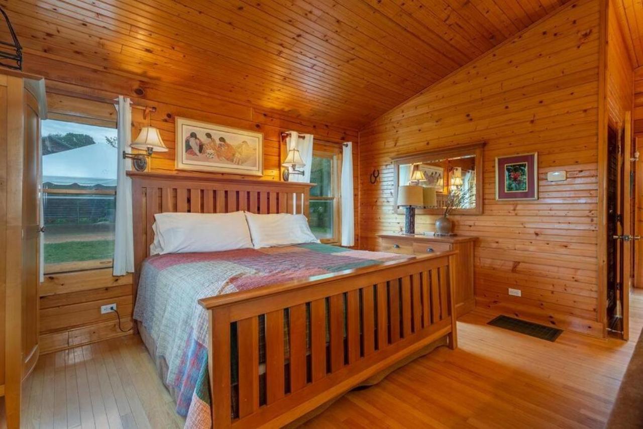 Log Cabin Stunning Mountain Views On 12 Acres Candler Eksteriør bilde