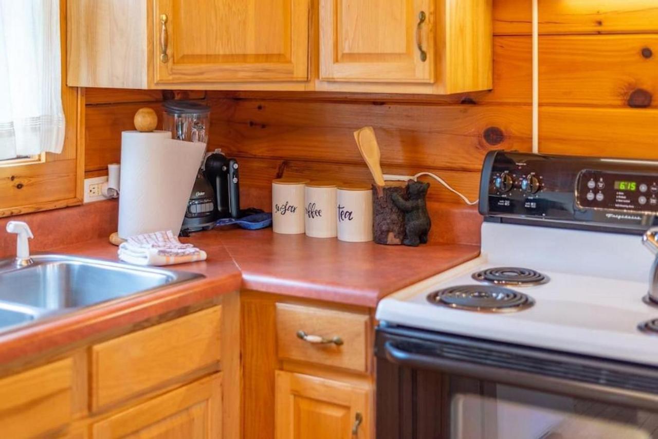 Log Cabin Stunning Mountain Views On 12 Acres Candler Eksteriør bilde