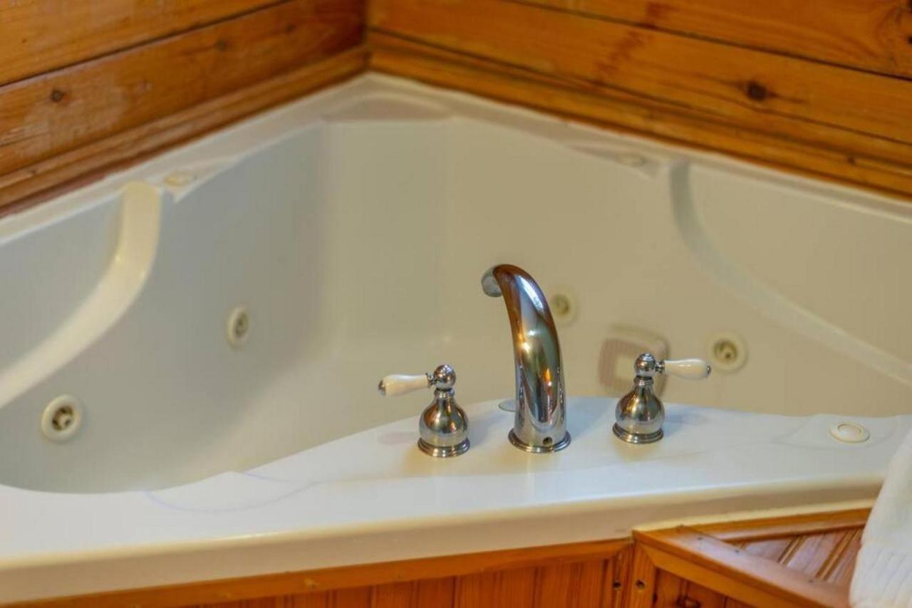 Log Cabin Stunning Mountain Views On 12 Acres Candler Eksteriør bilde